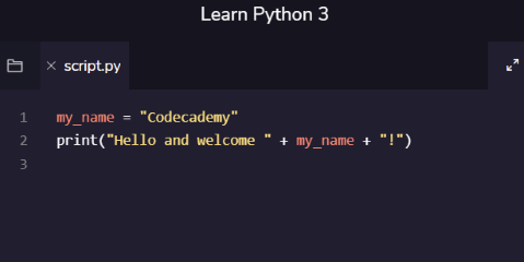 Codecademy Learn Python 3 Activity
