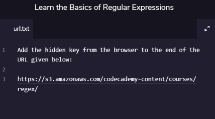 Codecademy Learn the Basics of Regular Expressions Activity