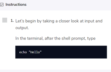 Codecademy Learn the Command Line Activity
