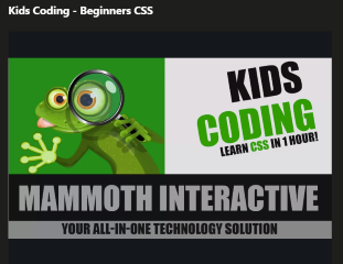 Udemy Kids Coding - Beginners CSS Video